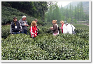 Beijing Xian Hangzhou Huangshan Shanghai 13 Days Tour